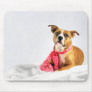 Mousepad Amor de filhote de cachorro do pitbull em XOXO