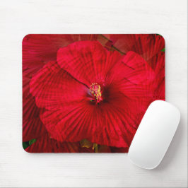 Mousepad Amor de Hibiscus...