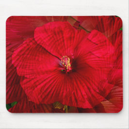 Mousepad Amor de Hibiscus...