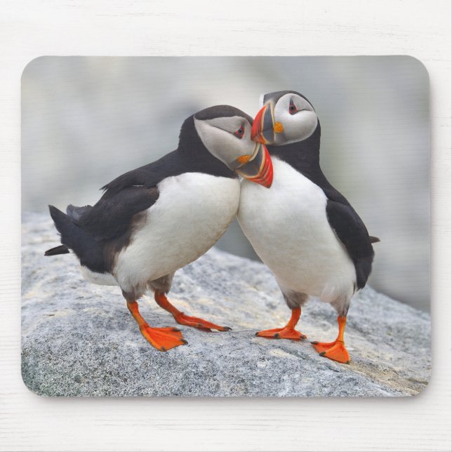 Mousepad Amor de Puffin no Atlântico (Frente)