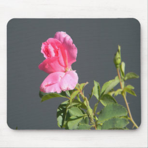 Mousepad Amor De Verão...