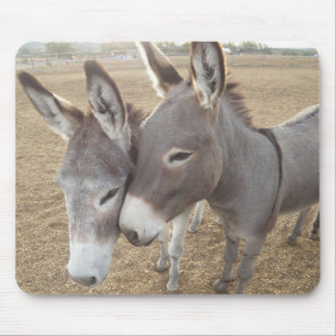 Mousepad Amor do Burro