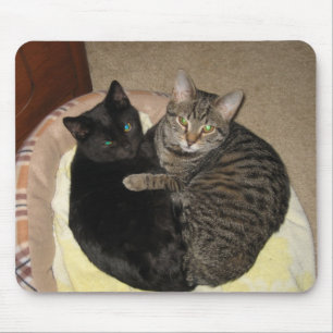 Mousepad Amor do gatinho