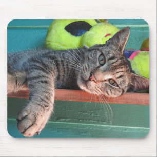 Mousepad Amor do gato