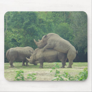 Mousepad Amor do rinoceronte