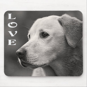 Mousepad Amor Labrador Amarelo Retriever Cão Cachorro