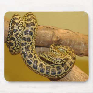 Mousepad Anaconda Amarela