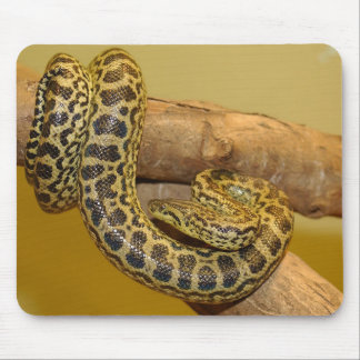 Mousepad Anaconda Amarela