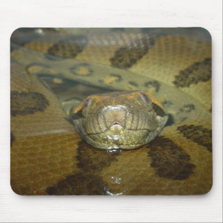 Mousepad Anaconda verde