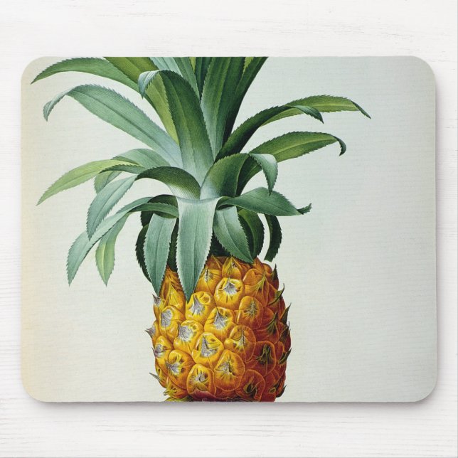 Mousepad Ananás do Bromelia, 'de Les Bromeliacees (Frente)