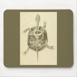 Mousepad Anatomia biológica da tartaruga do vintage