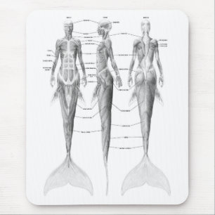 MOUSEPAD ANATOMIA DA SEREIA