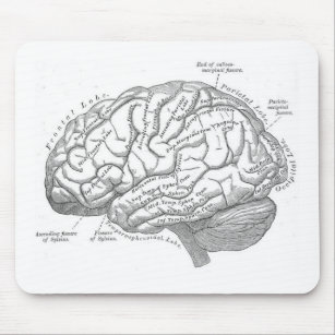 Mousepad Anatomia do cérebro do vintage