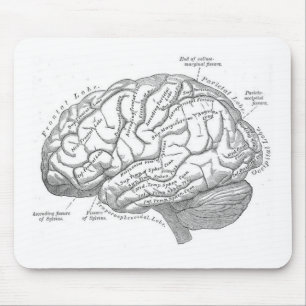 Mousepad Anatomia do cérebro do vintage