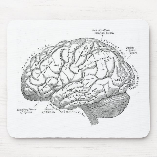 Mousepad Anatomia do cérebro do vintage (Frente)