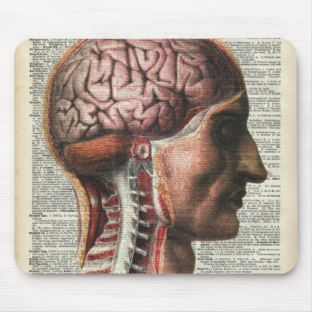 Mousepad Anatomia do cérebro humano (Frente)