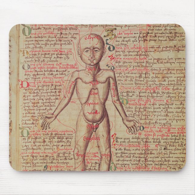 Mousepad Anatomia do corpo humano (Frente)