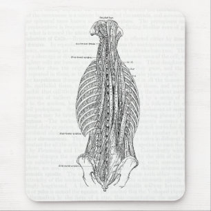 Mousepad Anatomia do vintage que tira a parte traseira