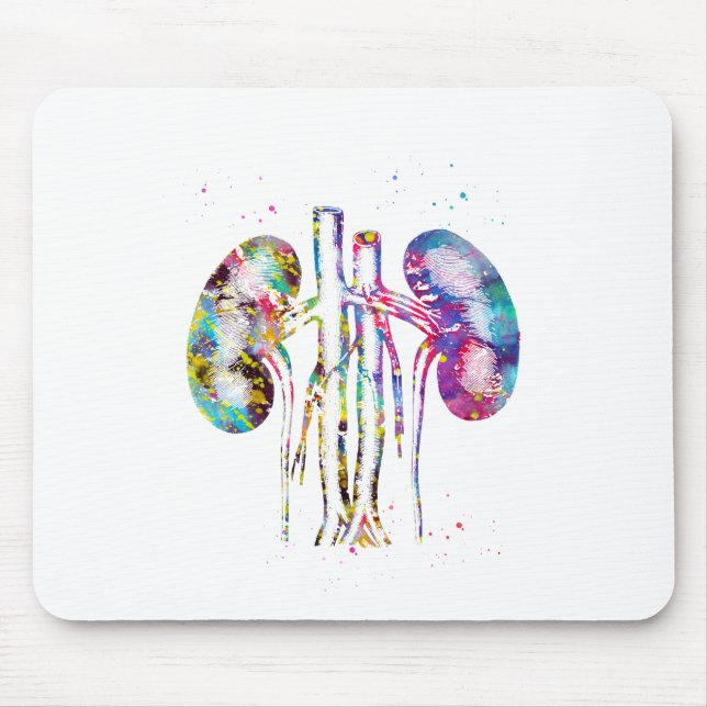Mousepad anatomia dos rins (Frente)