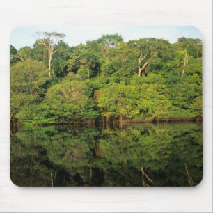 Mousepad Anavilhanas, Amazonas, Brasil. Rio da floresta tro