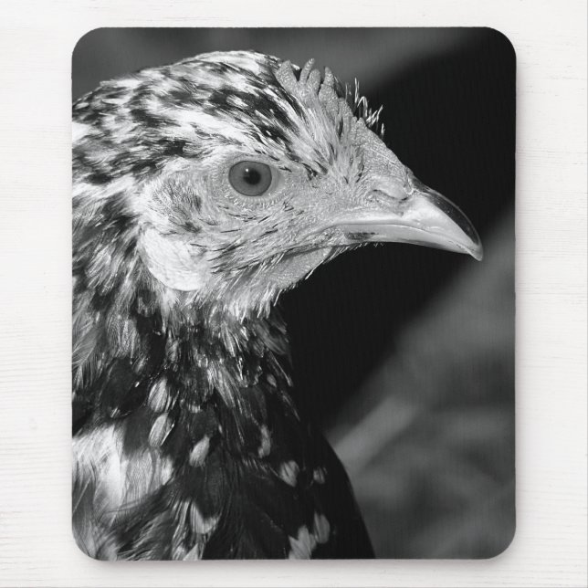Mousepad Ancona Hen (Frente)