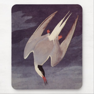 Mousepad Andorinha-do-ártico por John James Audubon, Aves A
