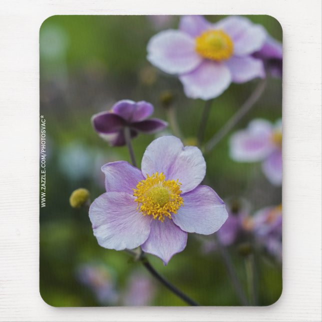 Mousepad Anêmona (Frente)