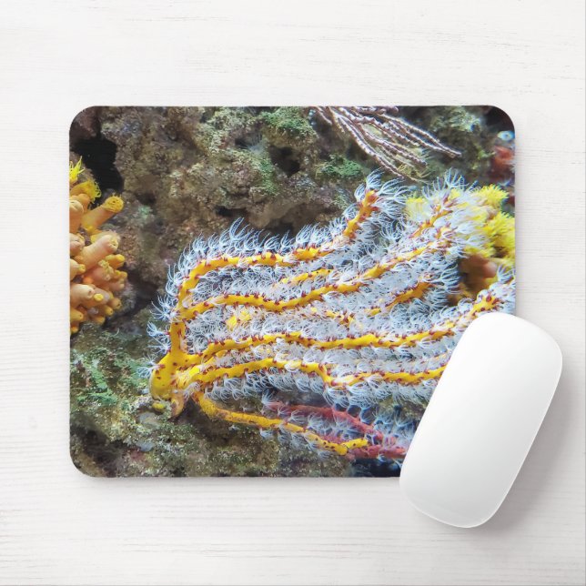 Mousepad Anêmona Do Mar Em Uma Pedra (Com mouse)