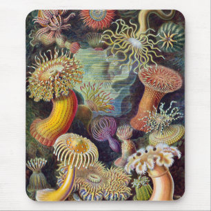 Mousepad Anêmonas-do-Mar, Actiniae Vintage por Ernst Haecke