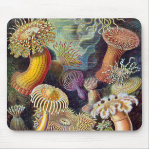 Mousepad Anêmonas Marinhas Vintage por Ernst Haeckel