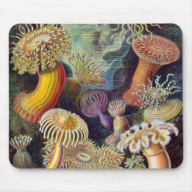 Mousepad Anêmonas Marinhas Vintage por Ernst Haeckel (Frente)