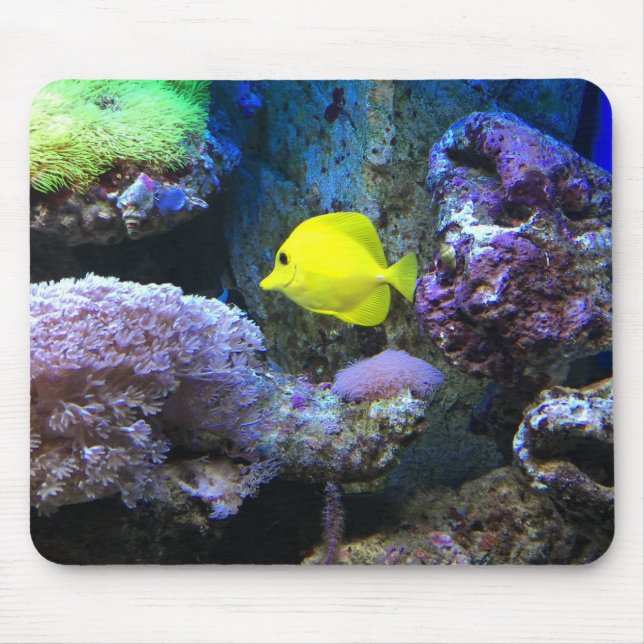 Mousepad Angelfish amarelo (Frente)