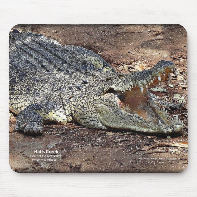 Mousepad Angra Croc dos salões (Frente)