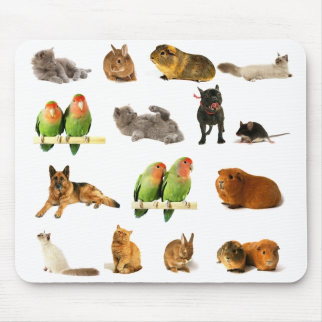 Mousepad animais (Frente)