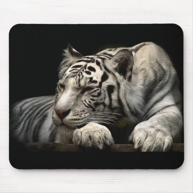 Mousepad Animais (Frente)