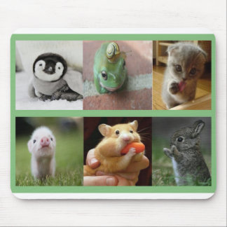 Mousepad Animais Almofada-Adoráveis do rato