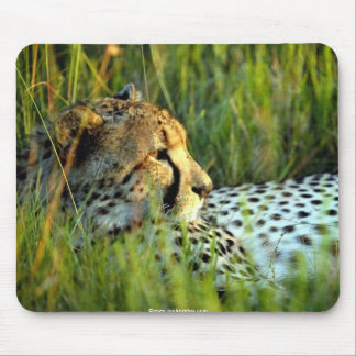 Mousepad Animais bonitos selvagens 112