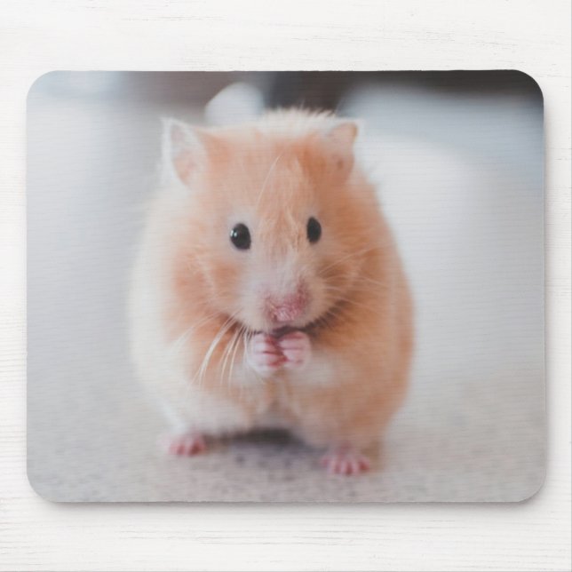 Mousepad Animais de Amor de Hamster Bonito (Frente)