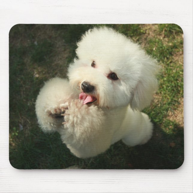 Mousepad Animais De Companhia, Cachorro, Poodle (Frente)