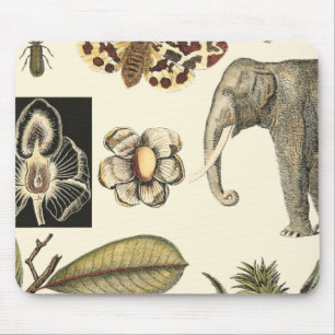 Mousepad Animais Partilhados Pintados em Fundo de Creme