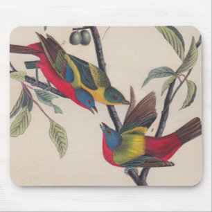 Mousepad Animais Selvagens de Aves Pintadas com Audubon