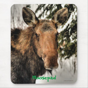 Mousepad Animais selvagens engraçados Mousemat do retrato