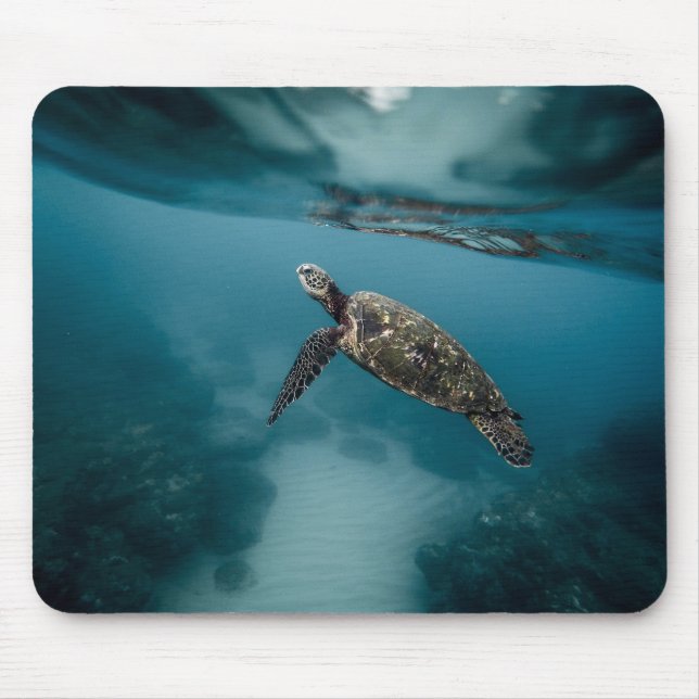 Mousepad Animais, tartarugas, água (Frente)