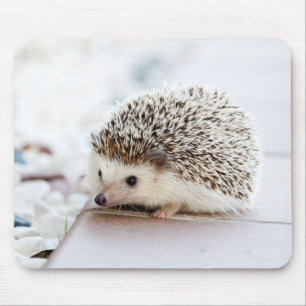 Mousepad Animal bonito do ouriço do bebê