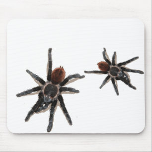 Mousepad Animal de estimação vivo da aranha de Taranchula