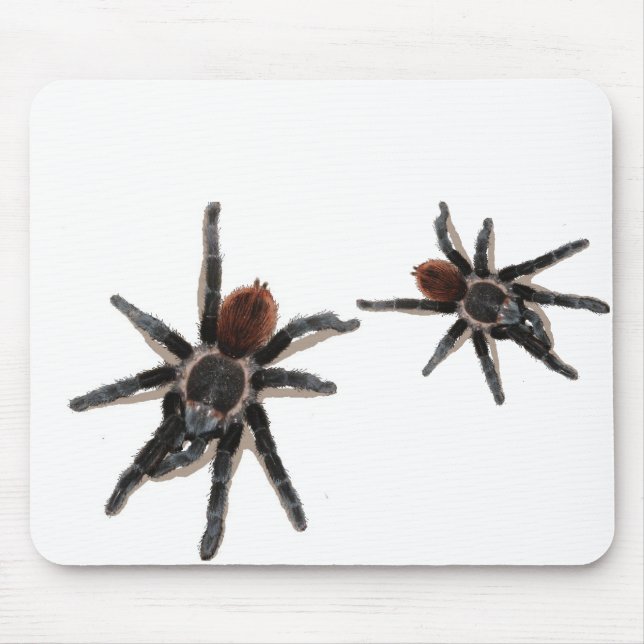 Mousepad Animal de estimação vivo da aranha de Taranchula (Frente)