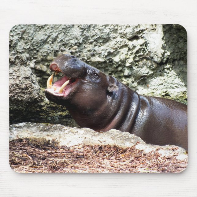 Mousepad Animal de Hippo (Frente)