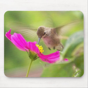 Mousepad Animal dos animais selvagens do pássaro do colibr