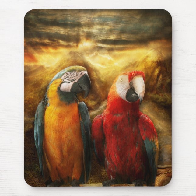 Mousepad Animal - papagaio - Papagaio-dise (Frente)