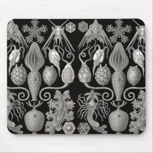 Mousepad "Anmphoridea; ou, "Star-Animals"